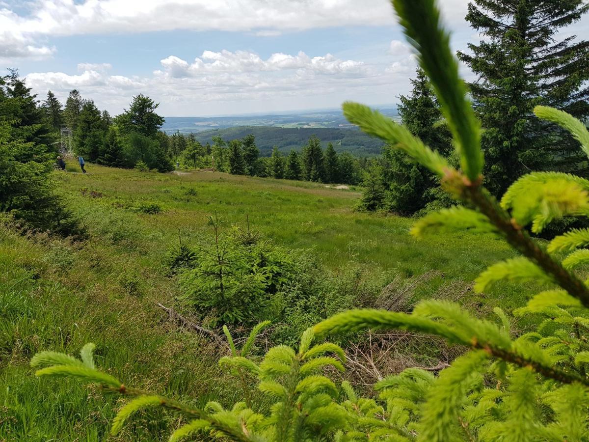 Vakantieappartement Achat Duitsland Wirschweiler Exteriör bild