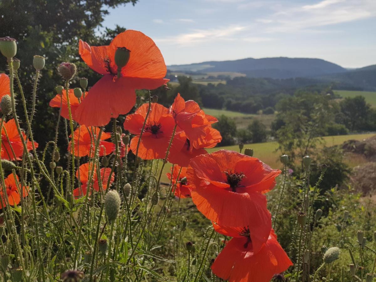Vakantieappartement Achat Duitsland Wirschweiler Exteriör bild